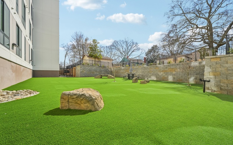 dog park with rocks and seating
