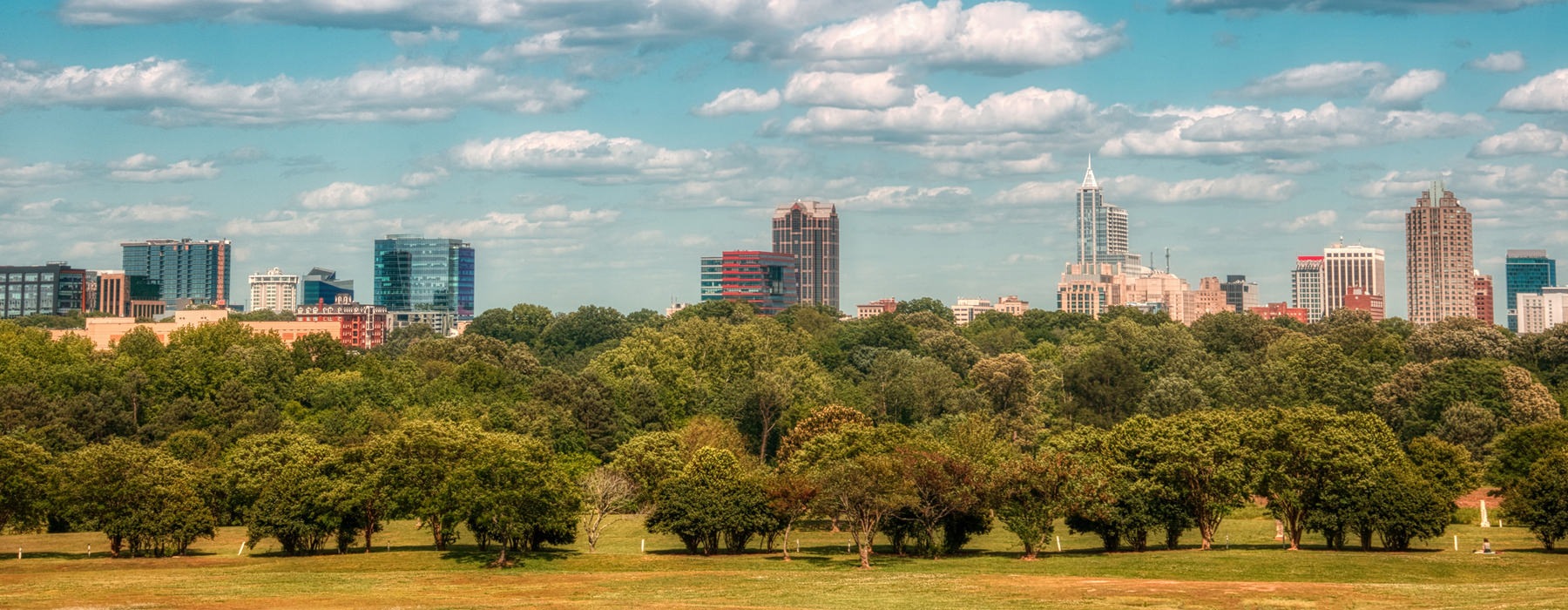 field with trees and a city in the background
